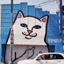 RIPNDIP